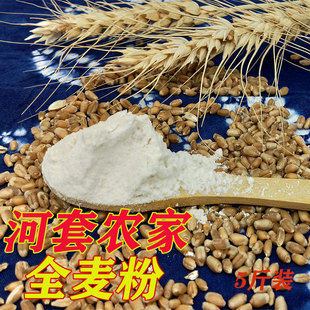 内蒙古河套全麦面粉农家现磨杂粮含麸皮高筋食用粗粮面包粉5斤