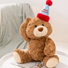泰迪熊小熊玩偶礼物熊公仔毛绒玩具生日抱抱熊花蓝熊圣诞节送女友