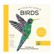 Words of the WorldBirds，世界上的语言鸟类 生物单词多国语言学习彩图精装艺术绘本 英文原版图书籍进口正版