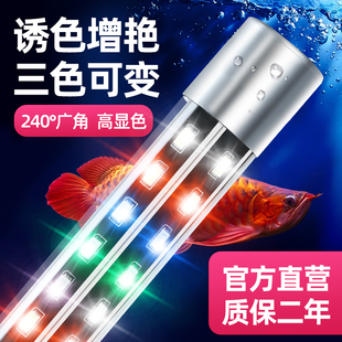 鱼缸灯照明灯led防水小型三色灯管专用水族箱，潜水灯龙鱼灯鹦鹉鱼