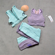 女瑜伽套装 运动背心式文胸 紧身速干美背工艺 健身七分裤高腰 紫