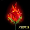 魔术玫瑰花魔术道具火变点火着火的道具，火焰火烧玫瑰花火焰玫瑰花