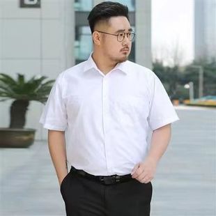 商务正装特大码短袖衬衫，男士薄款修身工作装，纯色加肥宽松胖子衬衣
