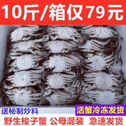 梭子蟹10斤箱约50只鲜活冷冻蟹飞蟹公蟹母蟹香辣蟹螃蟹海鲜