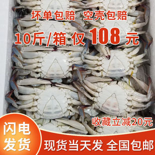 10斤带箱螃蟹梭子蟹新鲜冷速急冻螃蟹公母随机海鲜香辣蟹商用