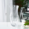 轻奢新创意花瓶玻璃透明高级感水培E鲜花客厅餐桌插花装饰摆饰北