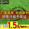 人造仿真草坪地毯绿色户外楼顶防晒阳台幼儿园塑料人工假草皮地垫