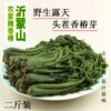 香椿芽咸菜山东特产新鲜腌制香椿头下饭菜1000g酱菜头茬香椿