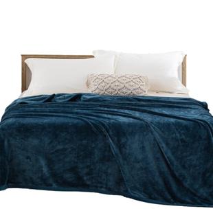 冬季珊瑚绒毛毯床单单件加绒加厚牛奶绒宿舍法兰绒床垫冬绒面被单