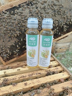 蜂农小姜蜂蜜无加工500g×2挤压瓶槐花，蜜枣花蜜荆条蜜五倍子蜜