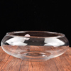 简约透明玻璃器皿水仙水培，盆铜钱草碗莲水培花盆，水培植物花瓶鱼缸