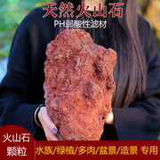 天然火山石颗粒土多肉兰花专用铺面石鱼缸水族造景过滤材料垫底石