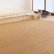 日式仿麻地毯客厅卧室床边榻榻米家用地垫猫抓垫子圆形定制整铺