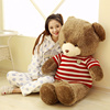 大熊抱抱熊熊绒毛绒玩具泰迪熊1米1.6米公仔布娃娃大号生日礼物女