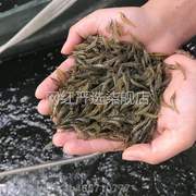 喂乌龟繁殖的小虾米宠物新鲜!苗除藻龟小虾，自家粮的活虾活龟食虾