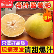 福建黄金葡萄柚礼盒5斤装应季水果台湾品种黄金葡萄柚新鲜西柚ZB