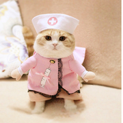 猫咪网红cosplay装抖音宠物，变身服直立装护士，装猫猫创意变身衣