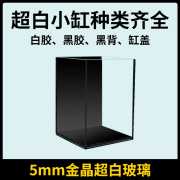 小型超白鱼缸玻璃桌面生态斗鱼专用金鱼乌龟造景水草缸微景观黑胶