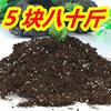 营养土养花专用通用种菜土壤种花花土蔬菜种植土椰砖肥料家用泥土