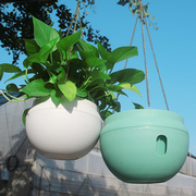吊兰植物室内悬挂式垂吊盆绿萝多肉花盆创意懒人自吸水培器皿花盆