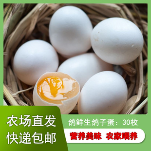 鸽子蛋新鲜30枚600克散养五谷杂粮白鸽蛋孕妇宝宝辅食