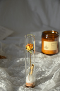 ins风玻璃试管罩干花束装饰玫瑰创礼物，闺蜜同学生日送你一朵小花