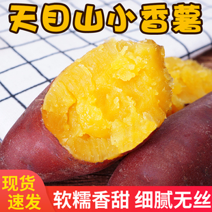 板栗红薯新鲜临安天目山小香薯小番薯地瓜蜜薯小红薯板栗薯