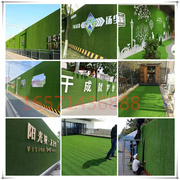 工地围挡草坪人造工程围挡绿化草皮室外庭院装饰草坪围墙室内地毯