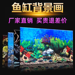 鱼缸背景纸3d立体高清图壁画，水族箱造景装饰背景图壁纸画鱼缸贴纸