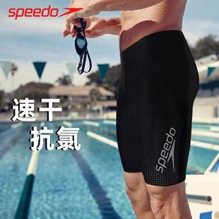 Speedo速比涛泳裤男士五分裤专业速干平角防尴尬成人男士泳衣