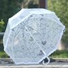 白菜价韩国创意透明蕾丝雨伞环保长柄自动直杆雨伞性感女士蕾丝伞