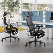 勇心人体工学电脑椅 家用 多功能护腰办公椅子老板椅 转椅网布椅