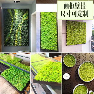 壁挂苔藓干花组合墙面装饰走廊客厅餐厅背景墙立体永生花家装壁饰