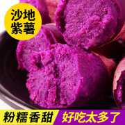 紫薯板栗红薯番薯地瓜蜜薯糖心10斤红薯沙地香薯现挖现发紫薯2023
