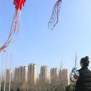 潍坊2023年软体无骨章鱼大型风筝大人专用网红巨型软体风筝a