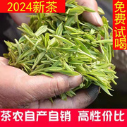 龙井2024新茶叶绿茶农，自产500g散装特级群体，种春浓香耐泡明前