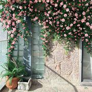 仿真玫瑰花花藤条拱门背景墙上装饰造景管道缠绕遮挡藤蔓假花牡丹