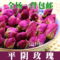 上下架计划:包邮新货到平阴玫瑰花茶美白去斑纯天然无硫调经养颜花草茶50g