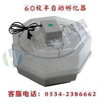 【冲三钻特价】60枚超小型孵蛋器，可调节孵化器，鸡蛋孵化机