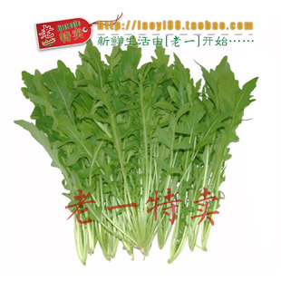  老一特卖 新鲜芝麻菜 有机蔬菜 绿色蔬菜 13.8元/500g