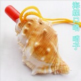 taobao english 13368596923