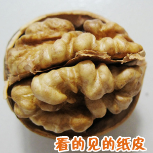  新疆 核桃 生核桃 仁饱皮薄 延年益寿 纸皮核桃500g 2斤包邮