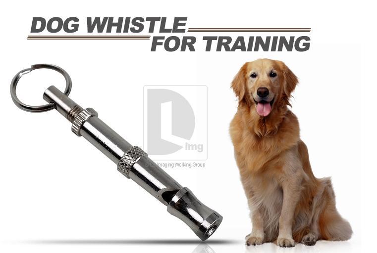 Adjustable Ultrasonic wave Dog Training whistling Dog Training Whistle Dog whistle Pigeon whistling Pets currency train whistlingin the Pet/Pet food and supplies , Cat/Dog Supplies , Trainer category - from Buy2taobao.com to provide professional Taobao agent buy service