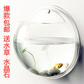 亚克力壁挂鱼缸圆形 迷你佳宝海水鱼缸观赏鱼缸水族箱 金鱼缸