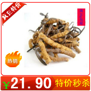  正品 精选野生 西藏冬虫夏草 断草 自用实惠 特干 10g起售并包邮