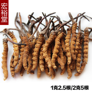  年新虫草 冬虫夏草 青海玉树野生冬虫夏草 1克2.5根 正品虫草