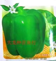 太空椒-圆椒种子 方椒种子太空椒法国进口太空