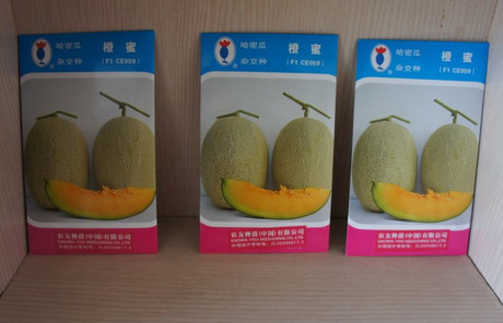 台湾进口 哈密瓜 网纹甜瓜 橙蜜 农友种苗 100粒