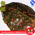 【东北仁】金刚山苏子叶韩国泡菜东北延边特产辣白菜10元包邮