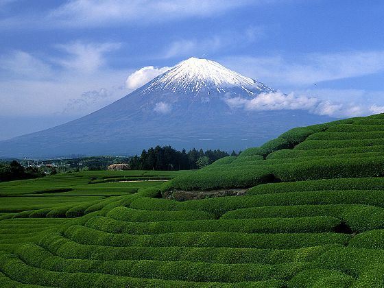 北京出发日本东京新宿华盛顿酒店4晚5天自由行/国航直飞/标准间 北京出发日本东京新宿华盛顿酒店4晚5天自由行/国航直飞/标准间